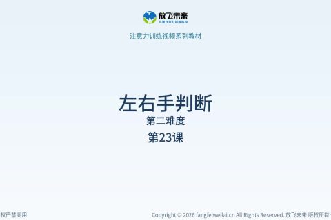 左右手判断048