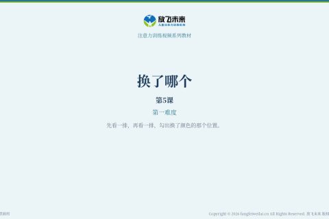 换了哪个005