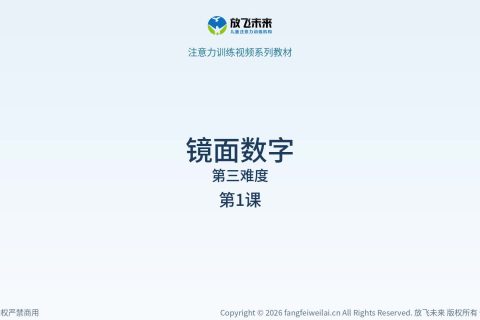 镜面数字051
