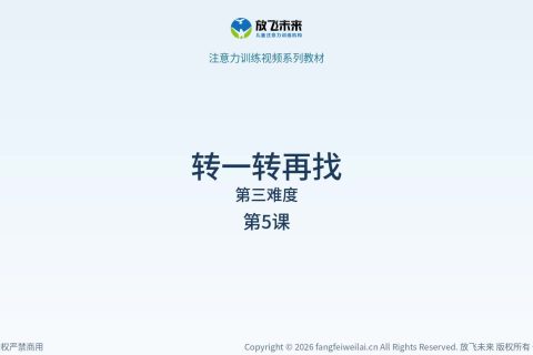 转一转再找055