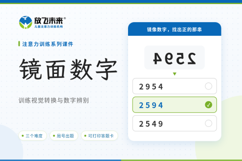 镜面数字