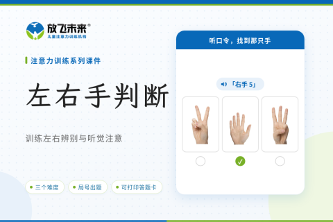 左右手判断课件